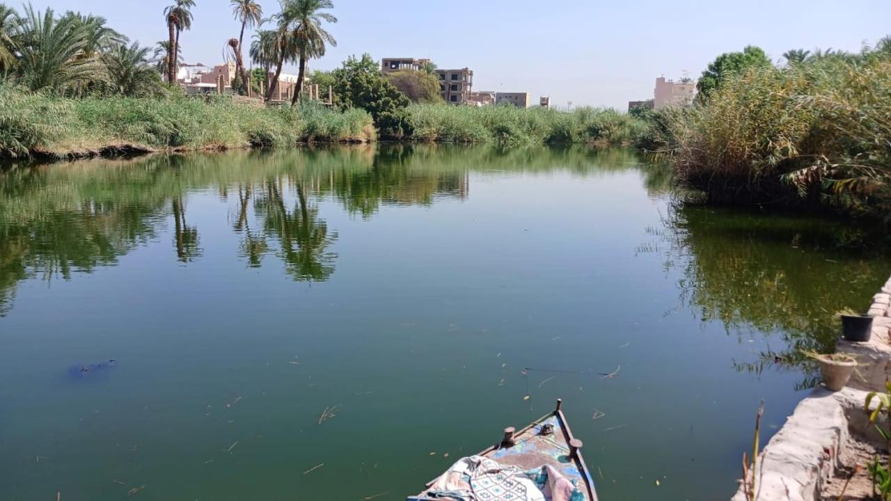 Luxor Old Nile Hotel Eksteriør bilde